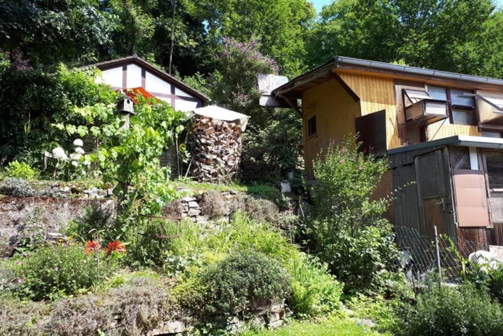 Eine Gemuetliche Ferienwohnung Mit Garten Bad Karlshafen Exterior photo