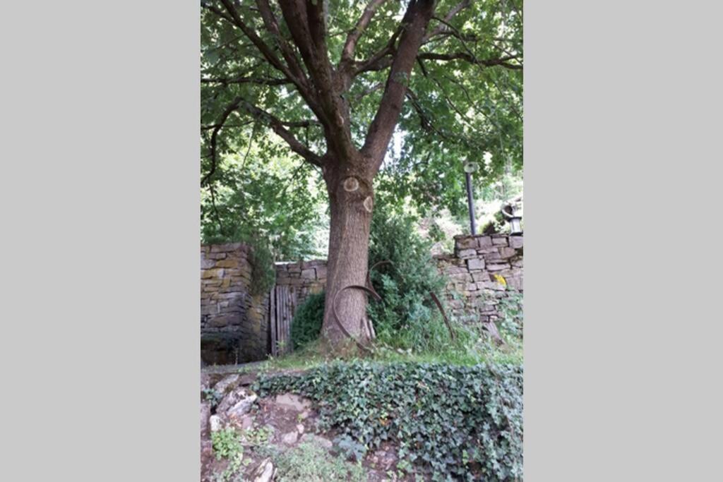 Eine Gemuetliche Ferienwohnung Mit Garten Bad Karlshafen Exterior photo